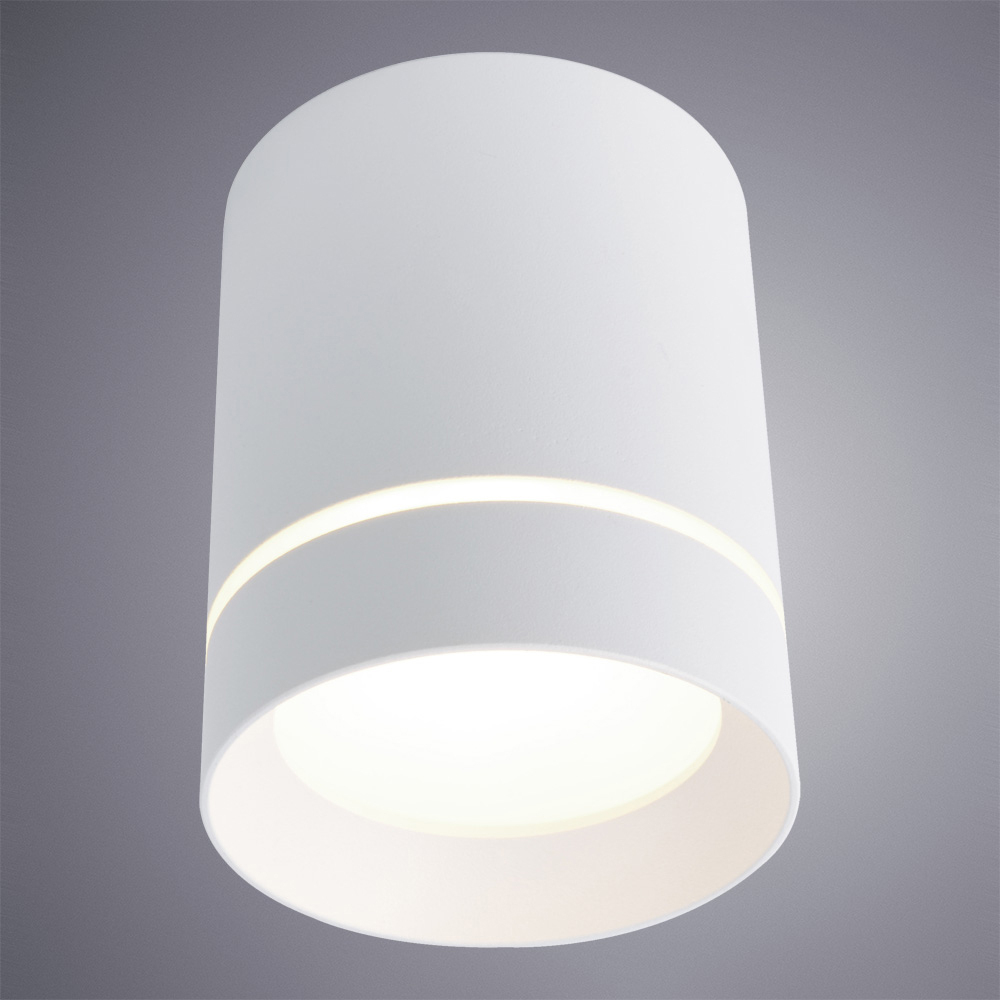 Светильник потолочный Arte Lamp Elle A1949PL-1WH