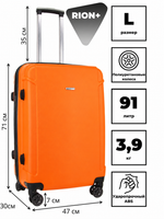 RION+ 448ORG — инфографика