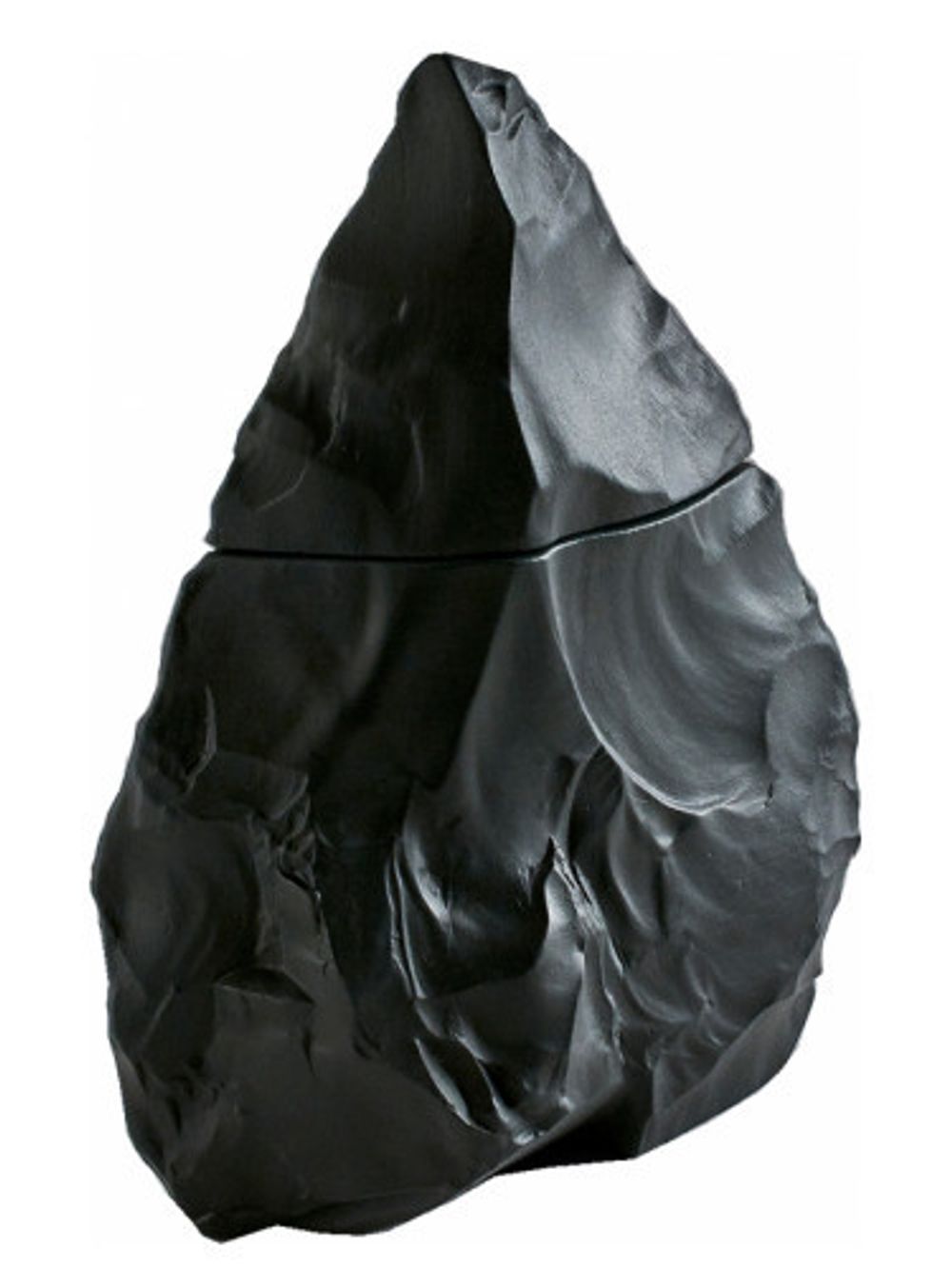 Neandertal Dark 2015