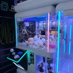 Мультиформатный призовой автомат «Фабрика Призов»