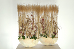 International Floral Art 2016/2017