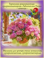 Гортензия "Таблетензия Пинк" суперкарлик