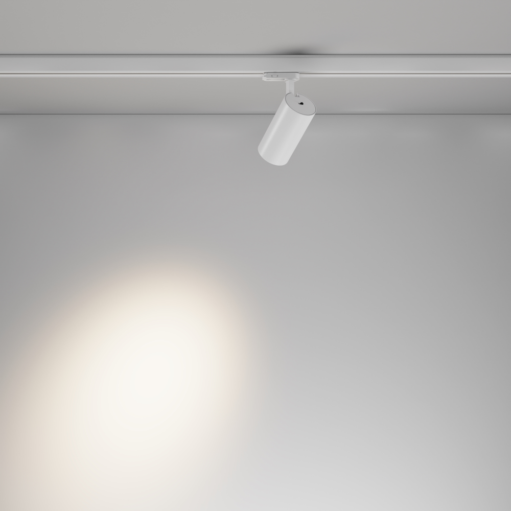 Трехфазный трековый светодиодный светильник Maytoni Focus Led TR197-3-12WCCT-M-W