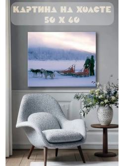 Картина на стену 40 X 50 Ездовые собаки