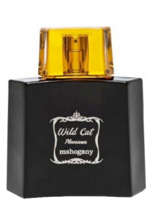 Mahogany Wild Cat
