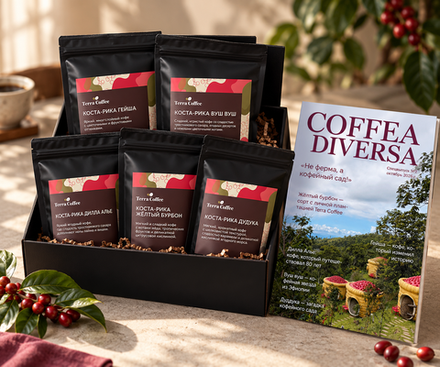Набор Coffea diversa