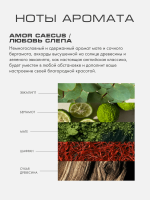 Набор парфюма Ничего святого (Parfum Set Nil Sancti) 5*10 мл