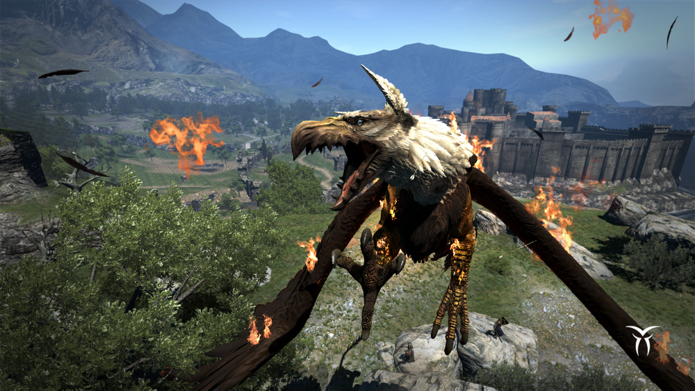 Dragon's Dogma: Dark Arisen (для ПК, цифровой код доступа)