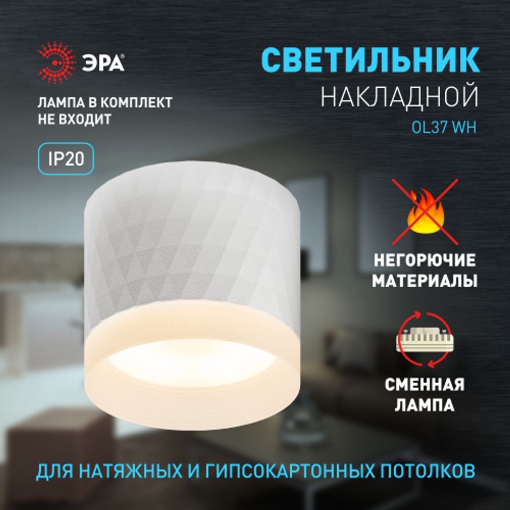 Светильник настенно-потолочный спот ЭРА OL37 WH под GX53 IP20 белый | Накладные светильники