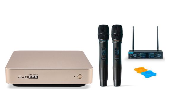 Комплект караоке на базе Evobox Gold с микрофоном Evolution SE-200D