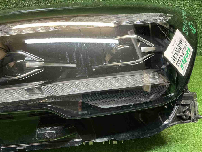 IMG_7866.JPG