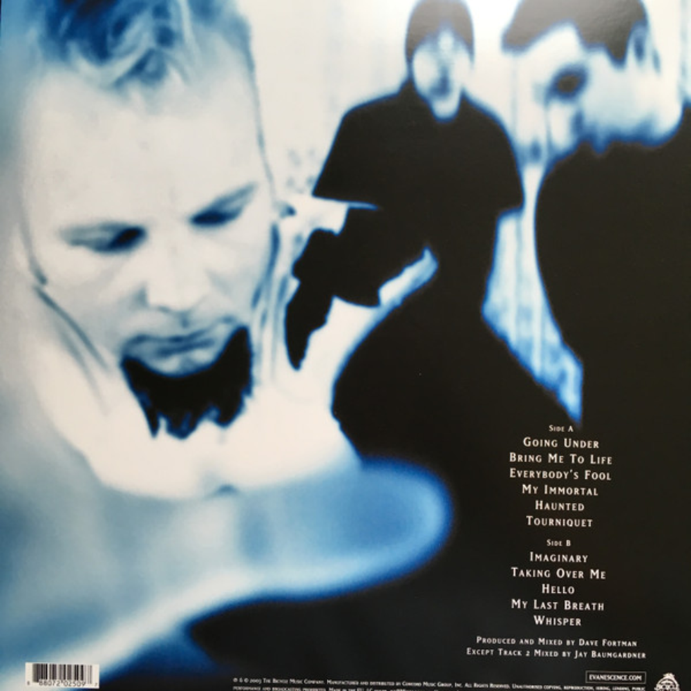 Evanescence / Fallen (LP)