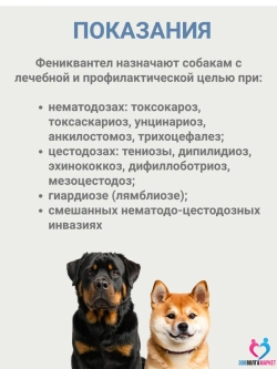 Фениквантел 100мг антигельминтный препарат для собак от 8 кг, 5 таб.