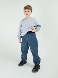Брюки Softshell демисезонные "Шторм"