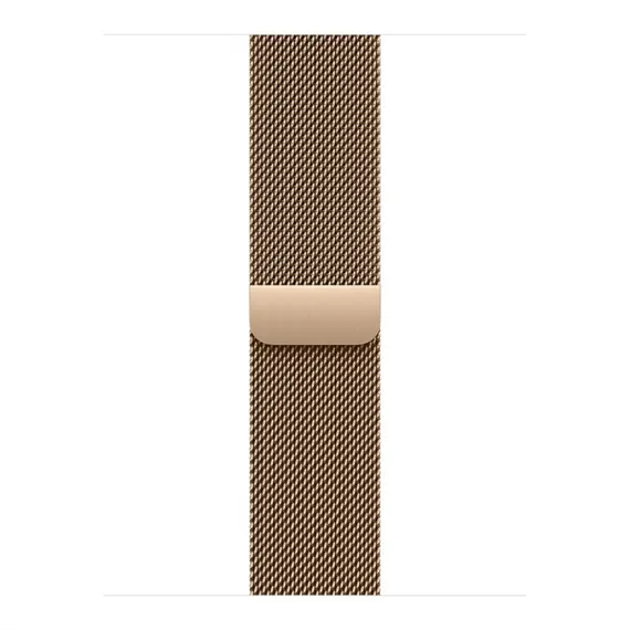 Умные часы Apple Watch Series 11 46 мм Titanium Milanese Loop Золотой Gold