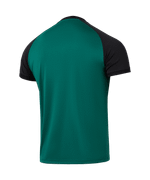 Футболка игровая CAMP Reglan Jersey, темно-зеленый - изображение 75