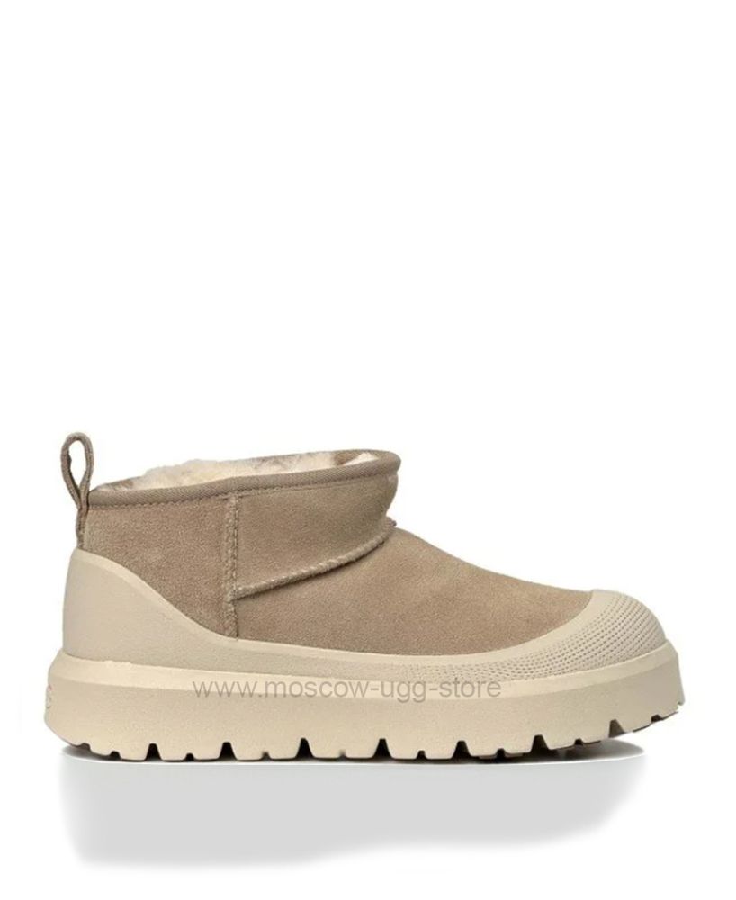 ULTRA MINI HYBRID Mustard Seed ULTRA MINI HYBRID Mustard Seed