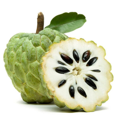 Черимойя Сахарное яблоко аннона (Annona squamosa) семена 5 штук