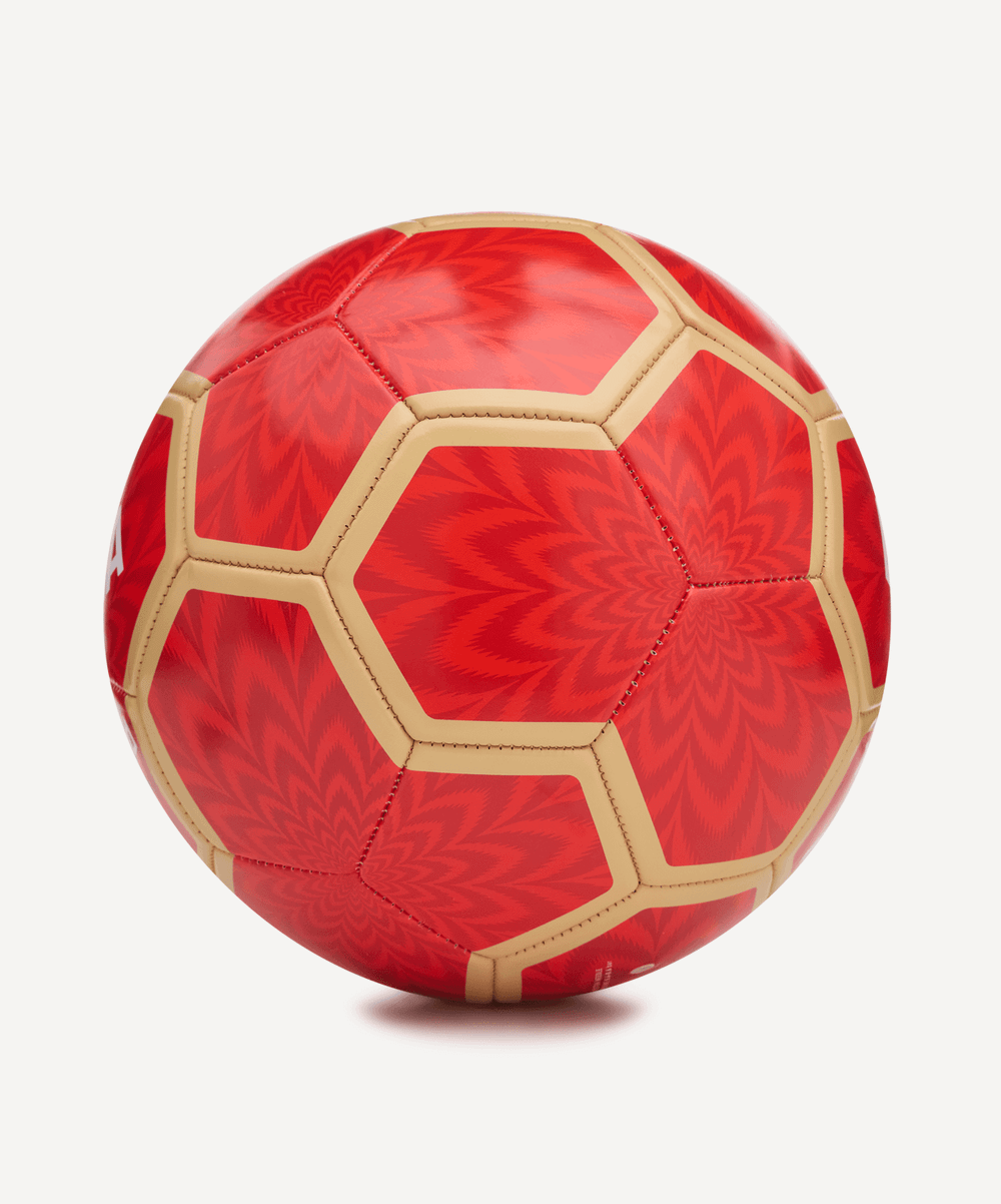 Мяч футбольный Flagball Firebird №5