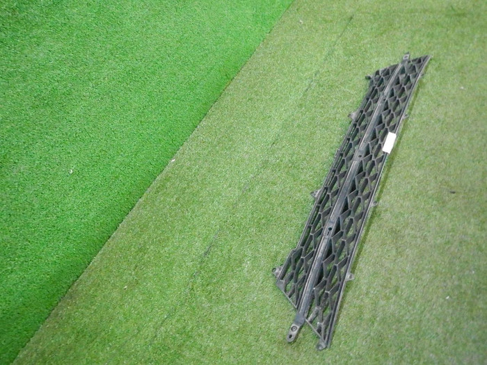 DSCN7290.JPG
