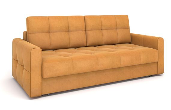 paloma camel