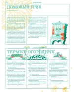 Мико. Полный путеводитель по миру грибов