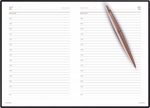 Подарочный набор: Jotter XL SE20 Monochrome в подарочной упаковке, цвет: Pink Gold, стержень Mblue и Ежедневник золотистый недатированный