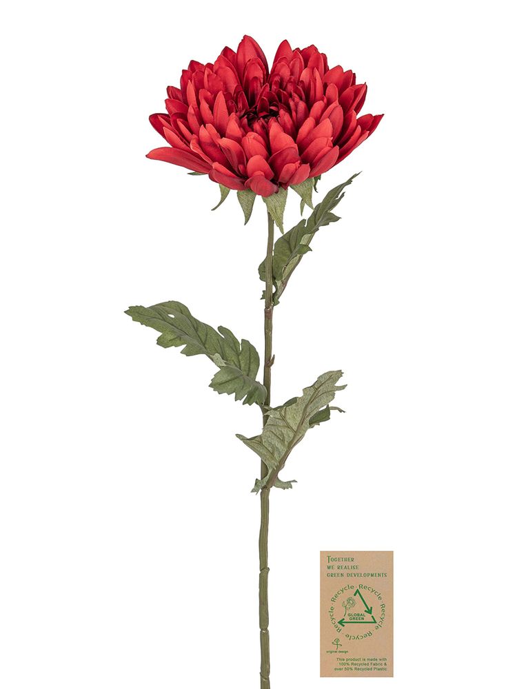 Цветок декоративный Fiebiger Floristik: Хризантема, 220043-500 Цветок декоративный Fiebiger Floristik: Хризантема, 220043-500