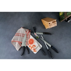 Zwilling Набор из 5 ножей Style в блоке EAN 4009839303326