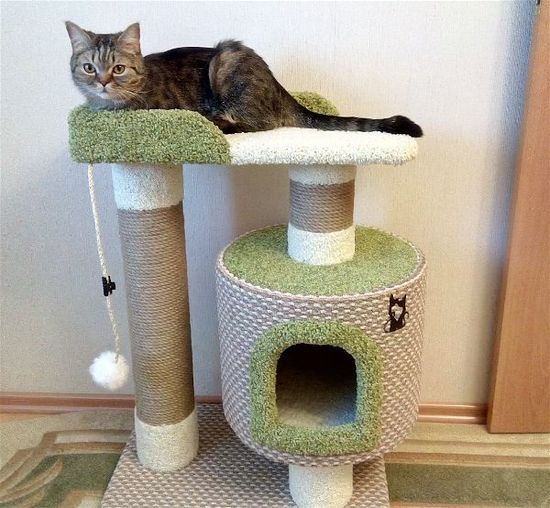 Домик для кота Д-6