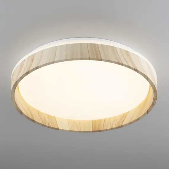 Потолочный светильник Enzo CL753352G Citilux