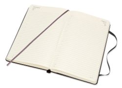Ежедневник Moleskine Academic Daily Large 592 страницы черный (DHB18DC3)