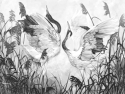 Коллекция Animality