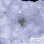 Shell Texture
