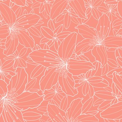 Рододендроны. Белые контурные цветы с листьями на персиковом, коралловом фоне