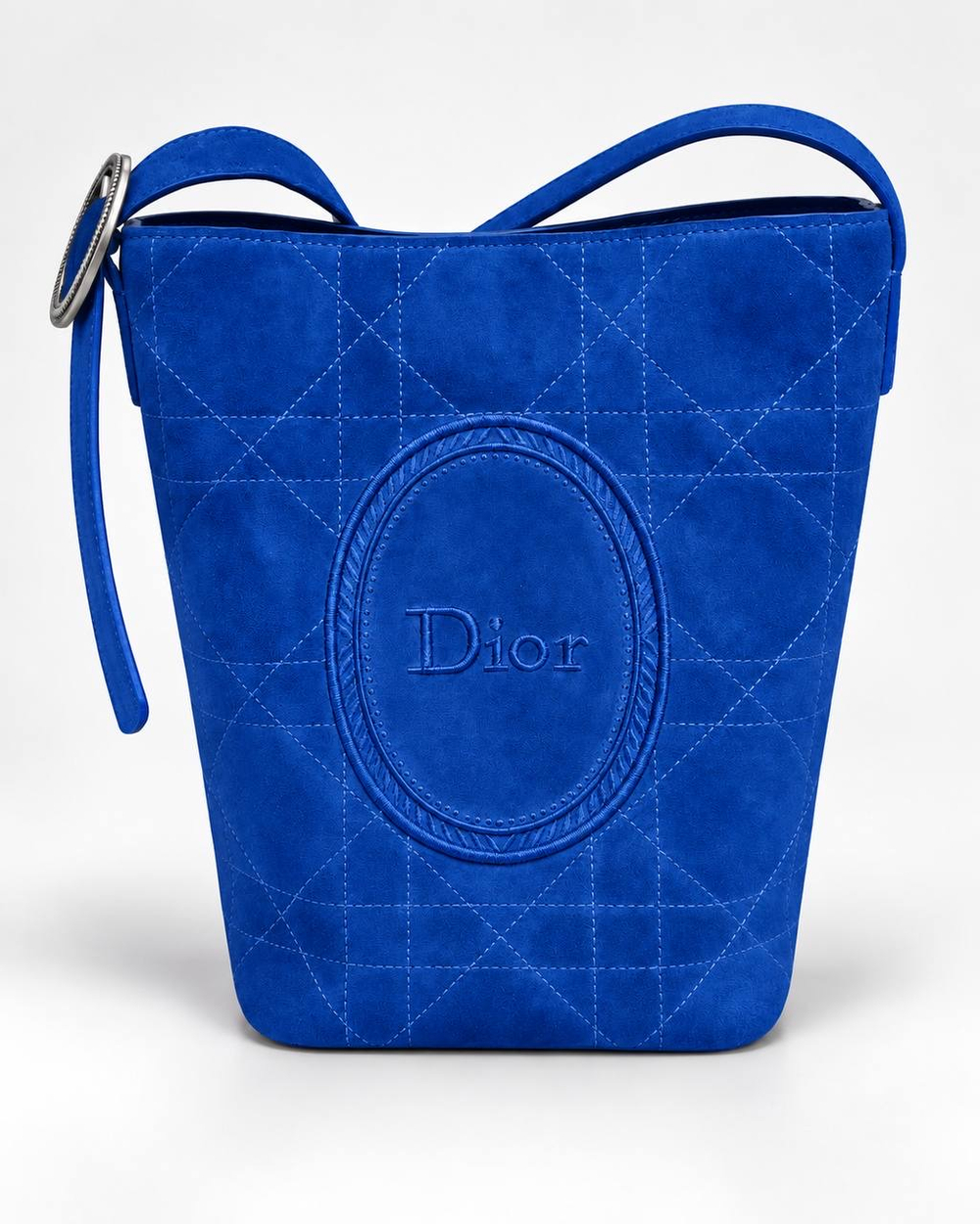 Сумка Christian Dior Medallion Bucket