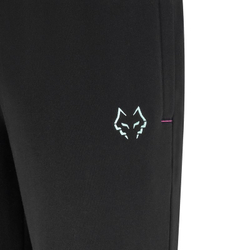 Meskie spodnie tenisowe Babolat Sweat J. Lebron - black/black