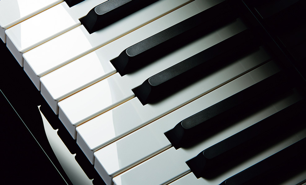Casio GP-510
