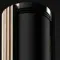 Bang &amp; Olufsen Beolab 28 with Gold Tone/Dark Oak