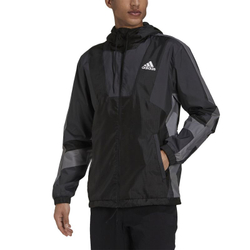 Мужская теннисная кофта Adidas Team BT Jacket M - black/dgh solid grey/white