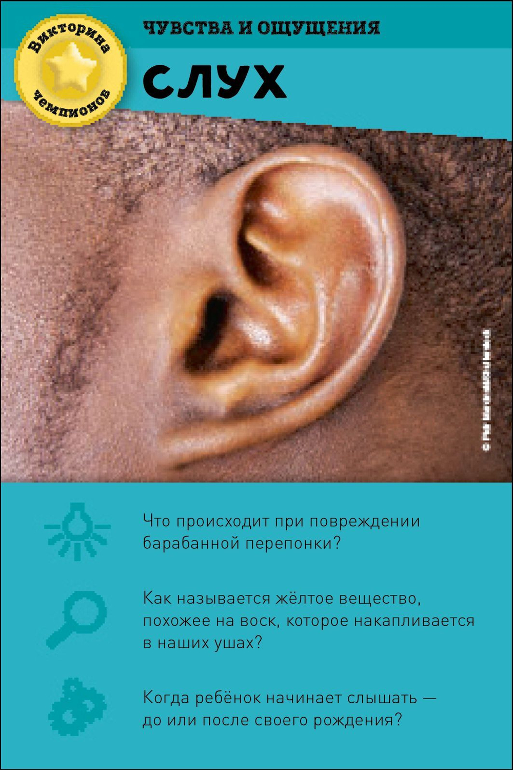 ИГРА. Викторина чемпионов. Человеческое тело. Время играть!
