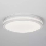Потолочный светодиодный светильник Citilux LUNS CL711020V LED