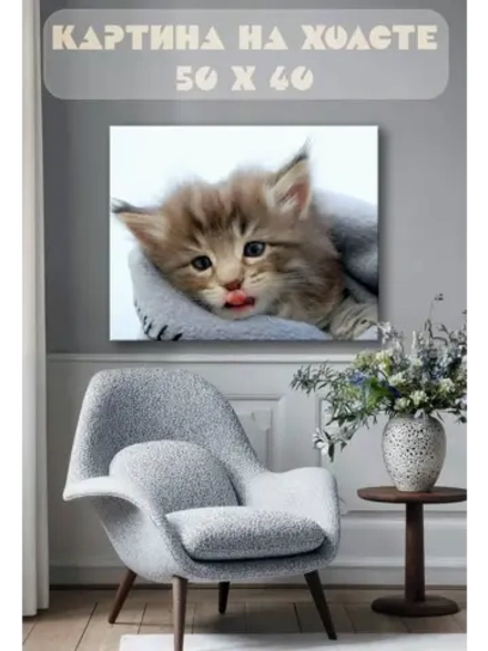 Картина на стену 40 X 50 Котёнок