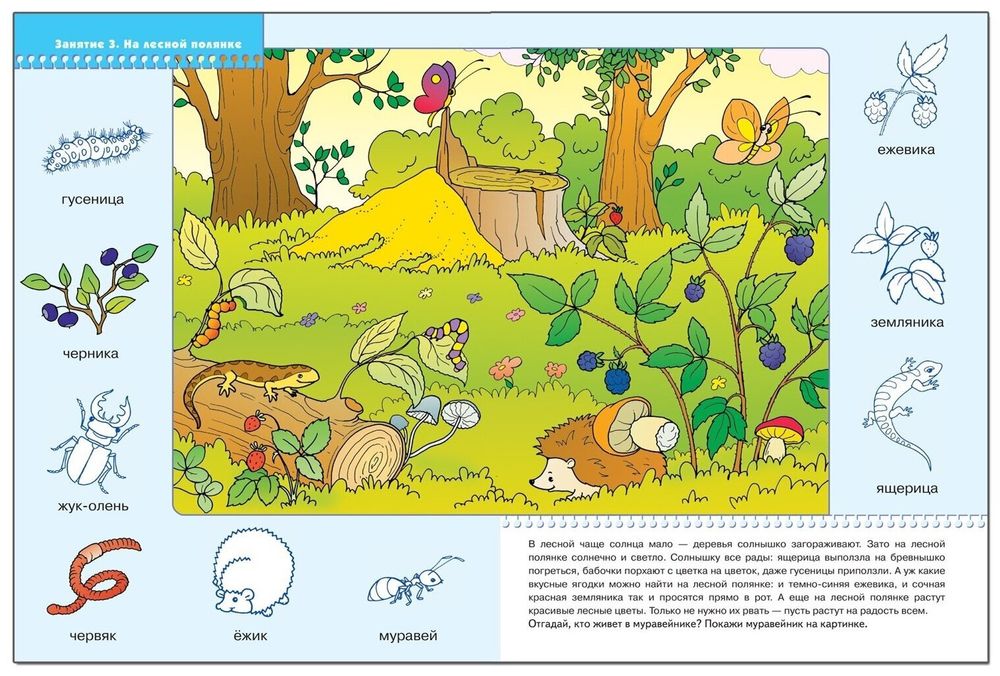 Комплект "Школа Семи Гномов 2+", Денисова Д., МС00475