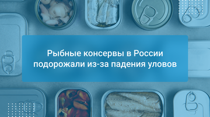 Рыбные консервы в России подорожали из-за падения уловов