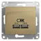 Розетка с USB A+A Systeme Electric Glossa Титан GSL000433