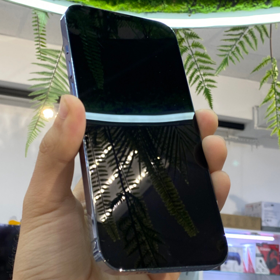Apple iPhone 13 Pro Max 128Gb