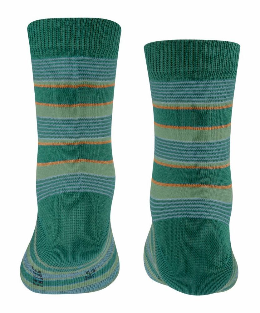 Носки Mixed Stripe FALKE 12267/7950