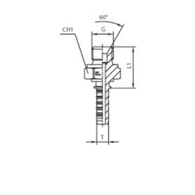 Фитинг DN 20 BSP (Ш) 1