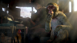 Far Cry 4 (для Xbox One/Series S/X, полностью на русском языке) [Цифровой код доступа]